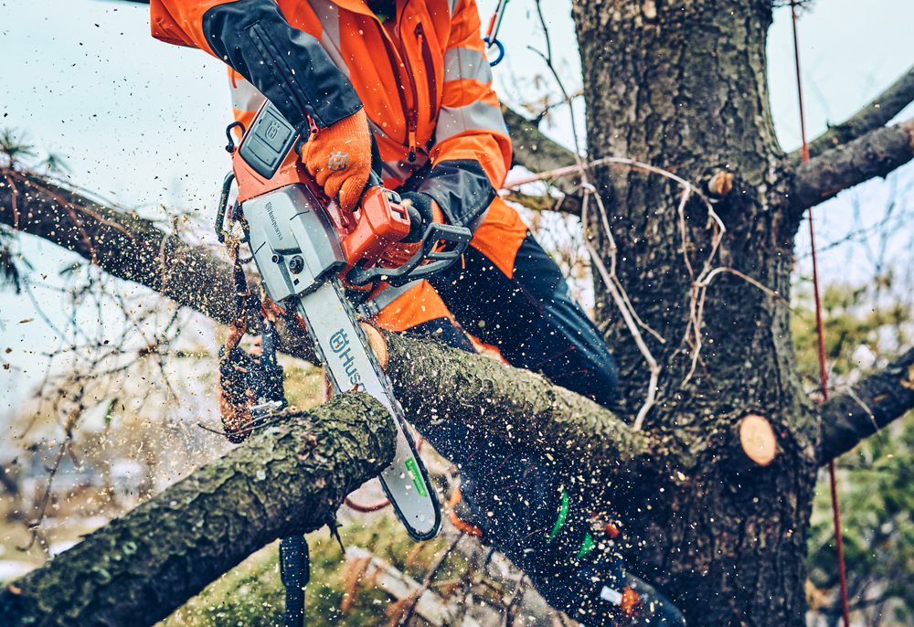 Husqvarna T542i XP® G