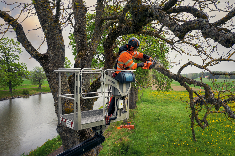 Husqvarna 540 XP® Mark III